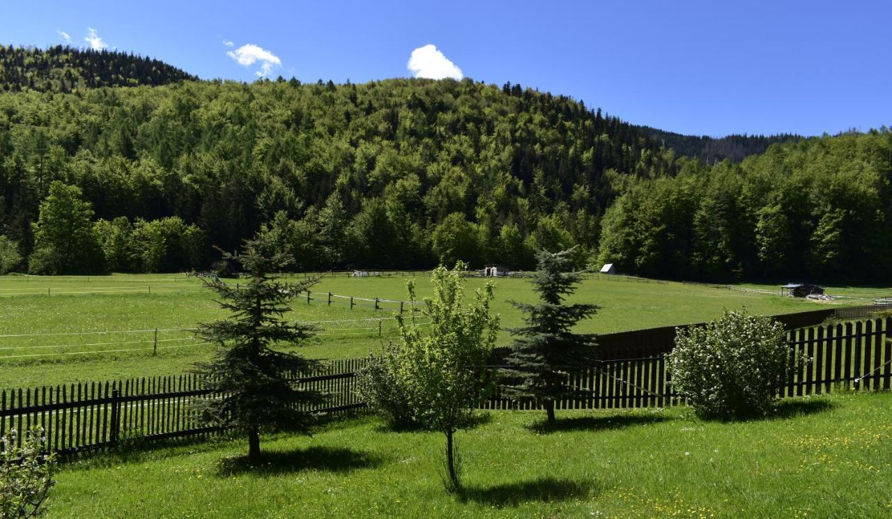 Rojka Apartmán Zakopane